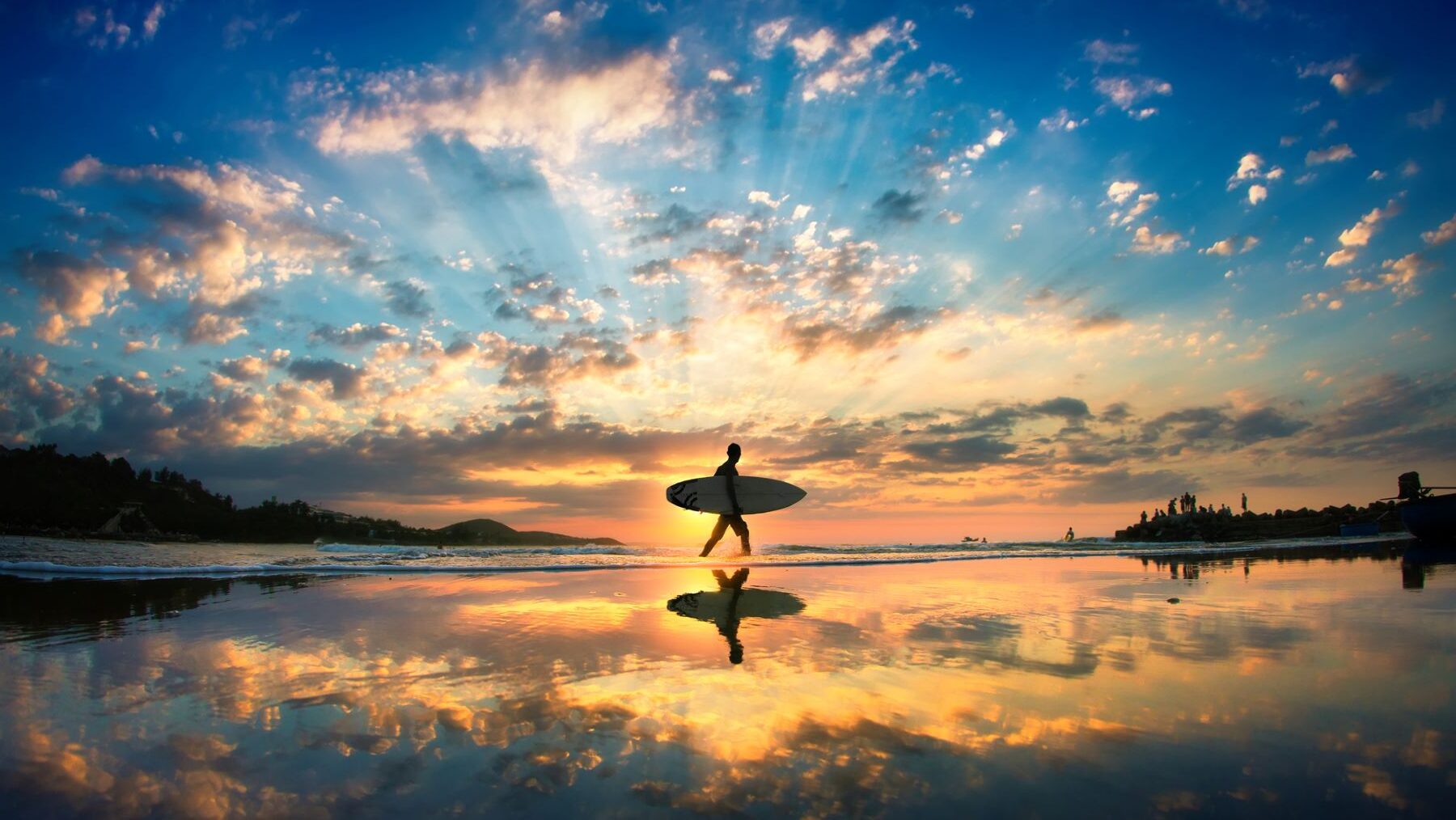 ecosistemas marinos surf