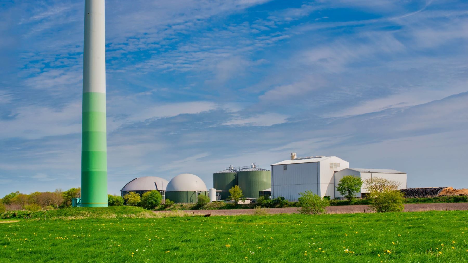 biocombustibles residuos biogénicos