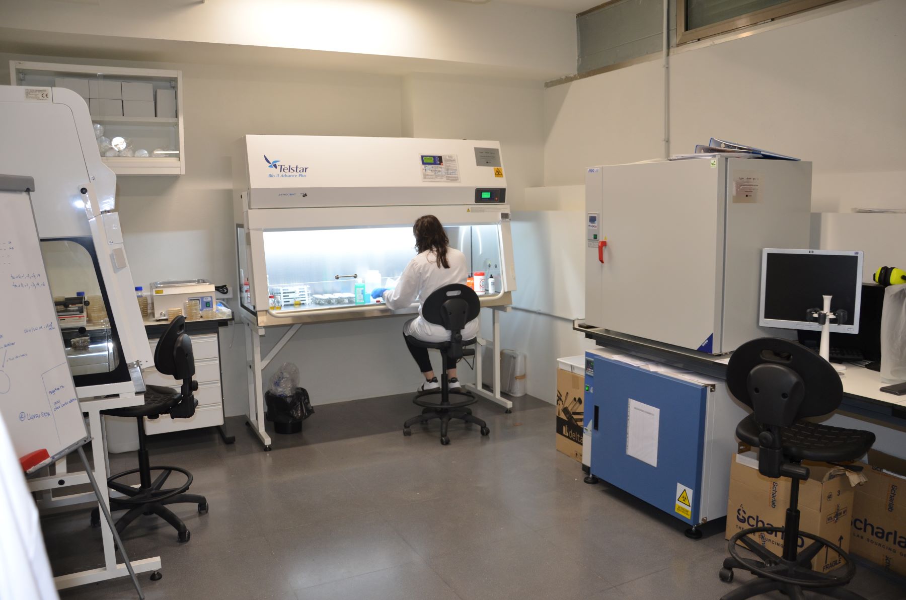 reciclaje químico y biológico de poliuretano