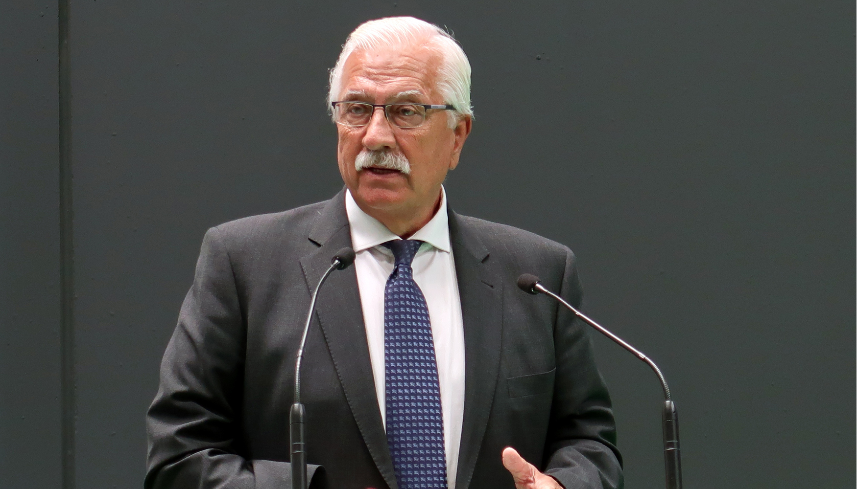 Javier Díaz AVEBIOM combustibles fósiles bioenergía