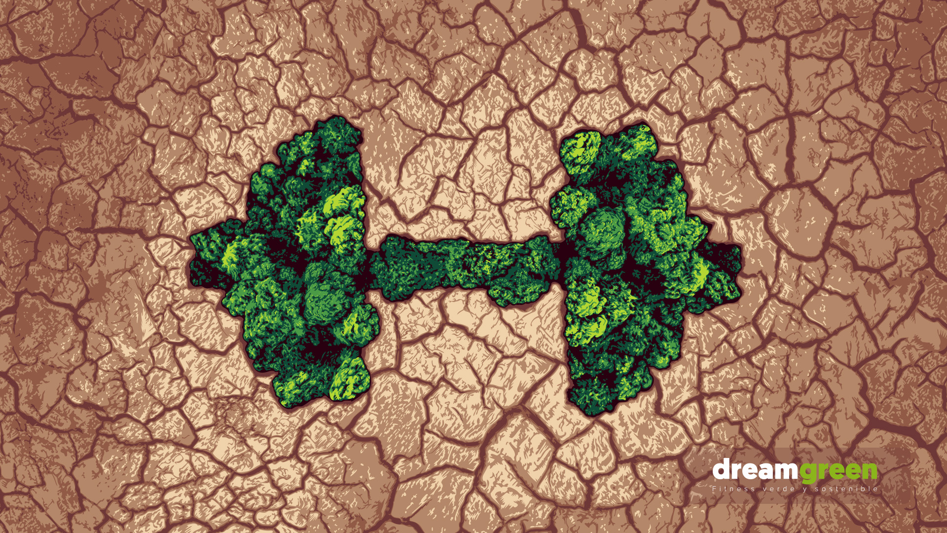 gimnasios Dreamfit fitness Dreamgreen