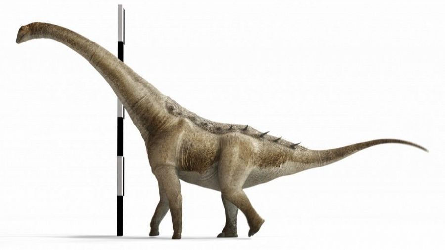 Qunkasaura Pintiquiniestra dinosaurio gigante Cuenca