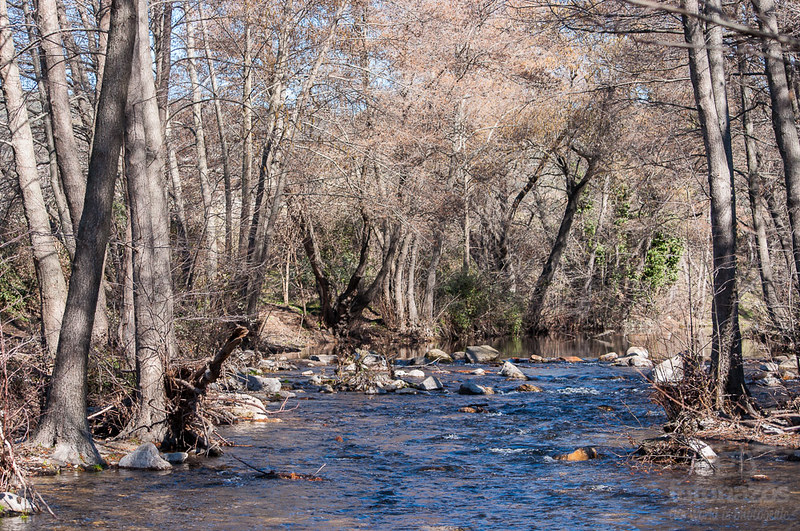 Red Natura Cuenca río Guadalix construir millar viviendas