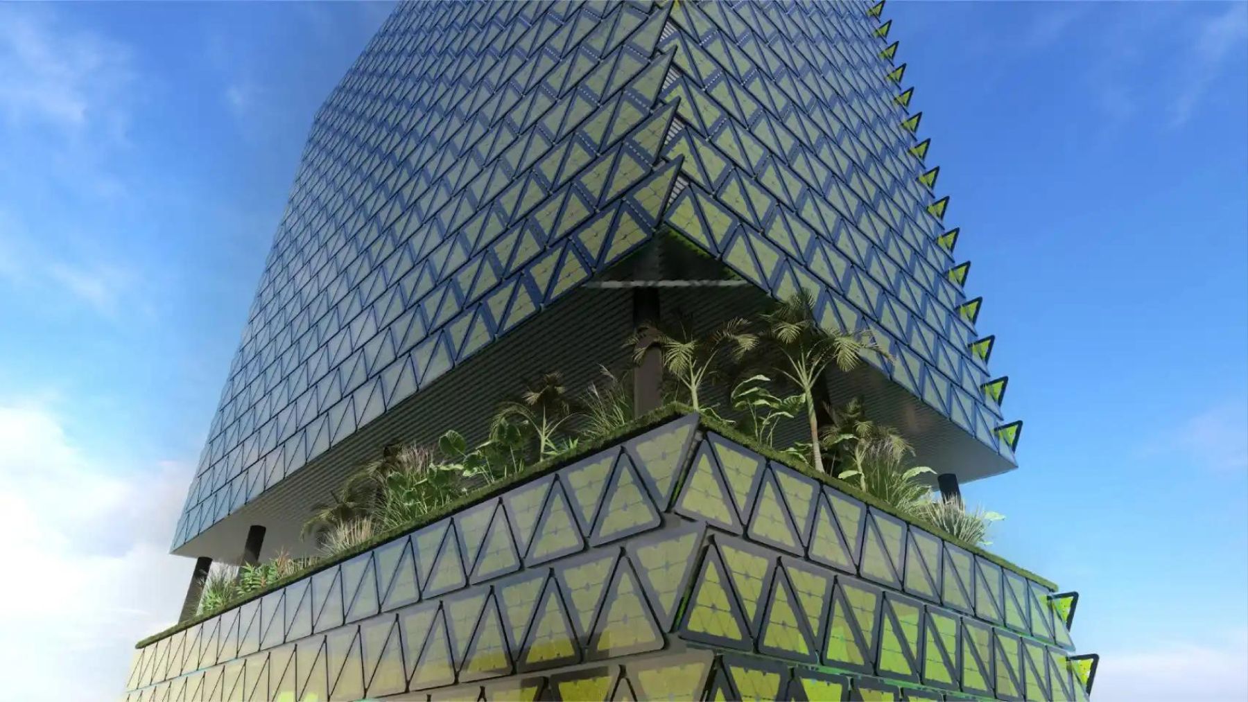 algas paneles solares