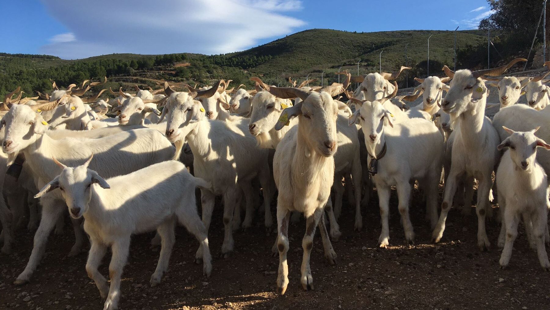 conservación naturaleza mundo rural