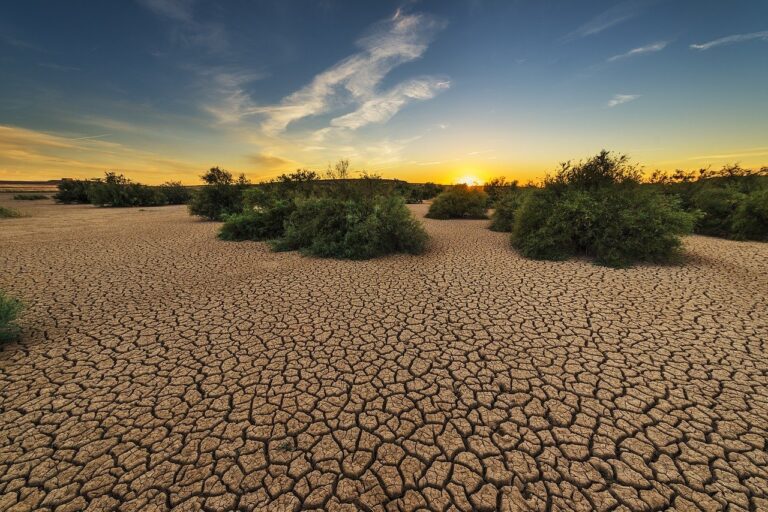 Fenómenos climáticos México