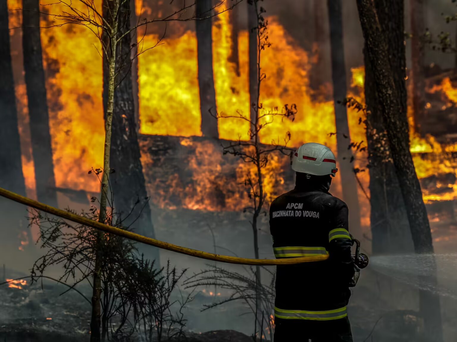 Los incendios forestales en Portugal dejan ya siete fallecidos