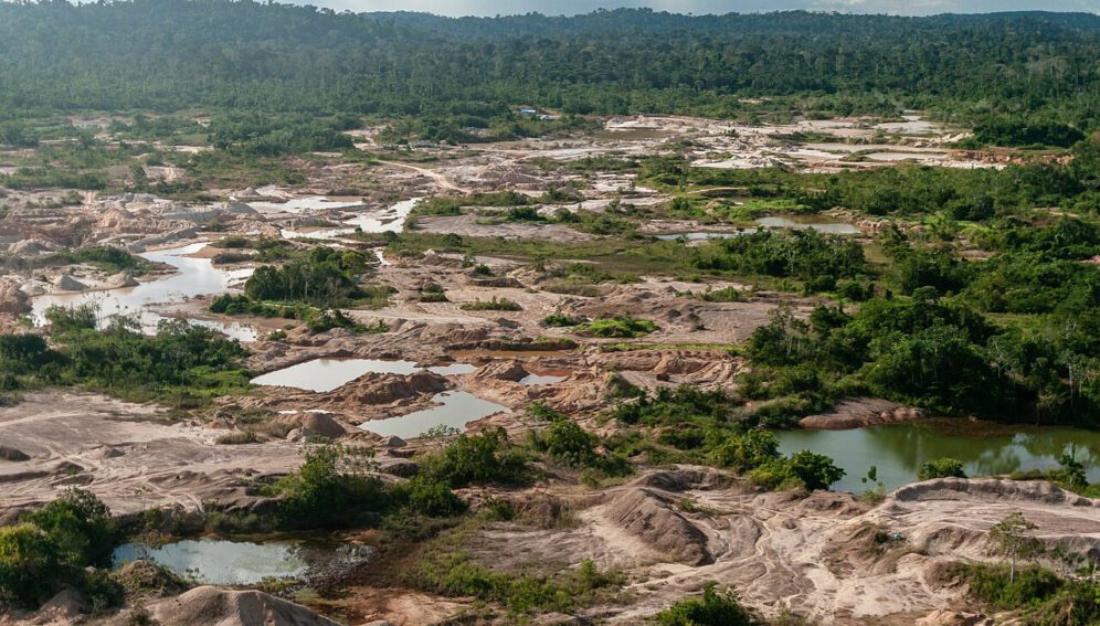 Amazonia cocaína oro indígenas biodiversidad