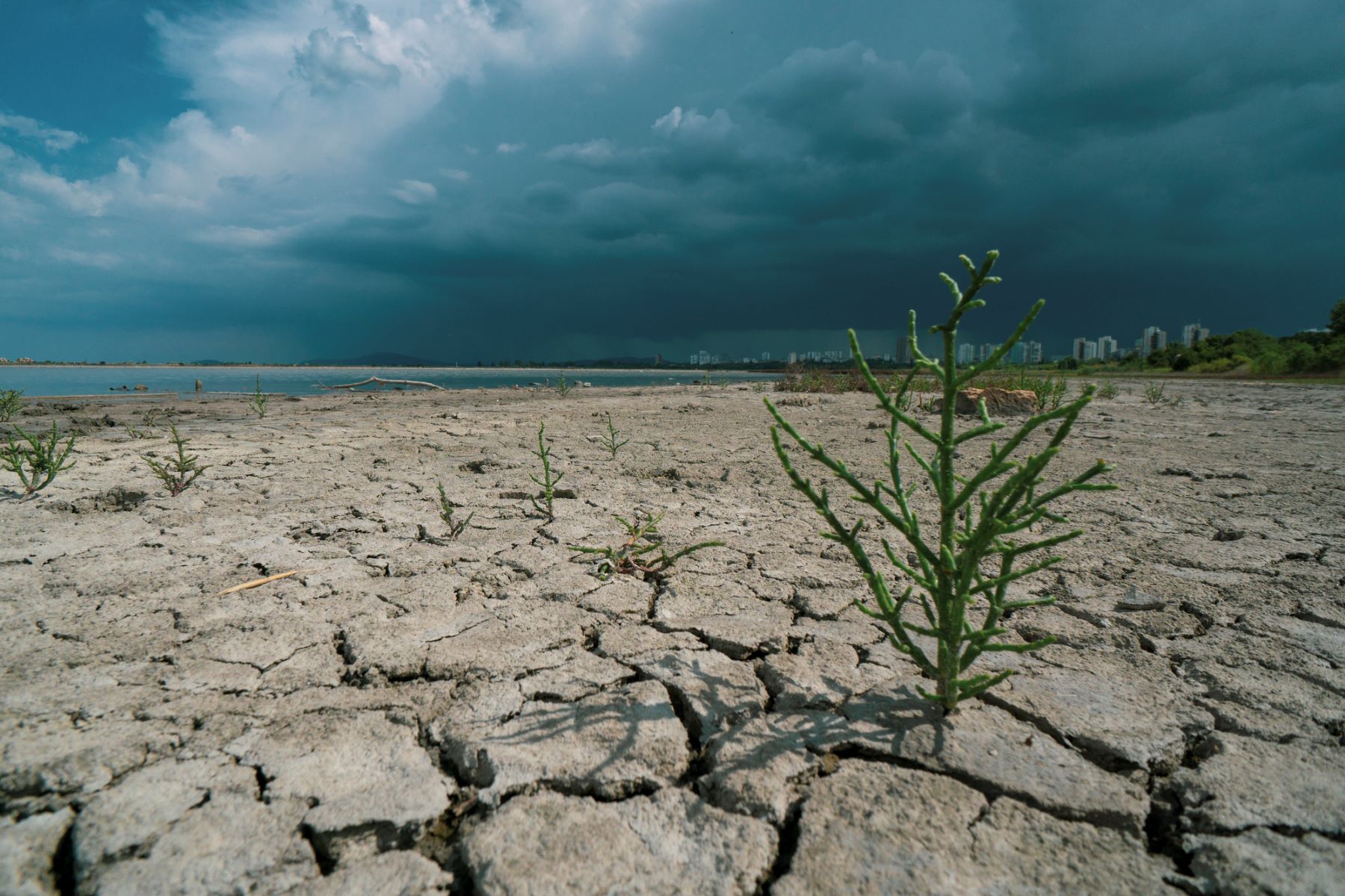 2023 ríos secos agua agricultura ecosistemas