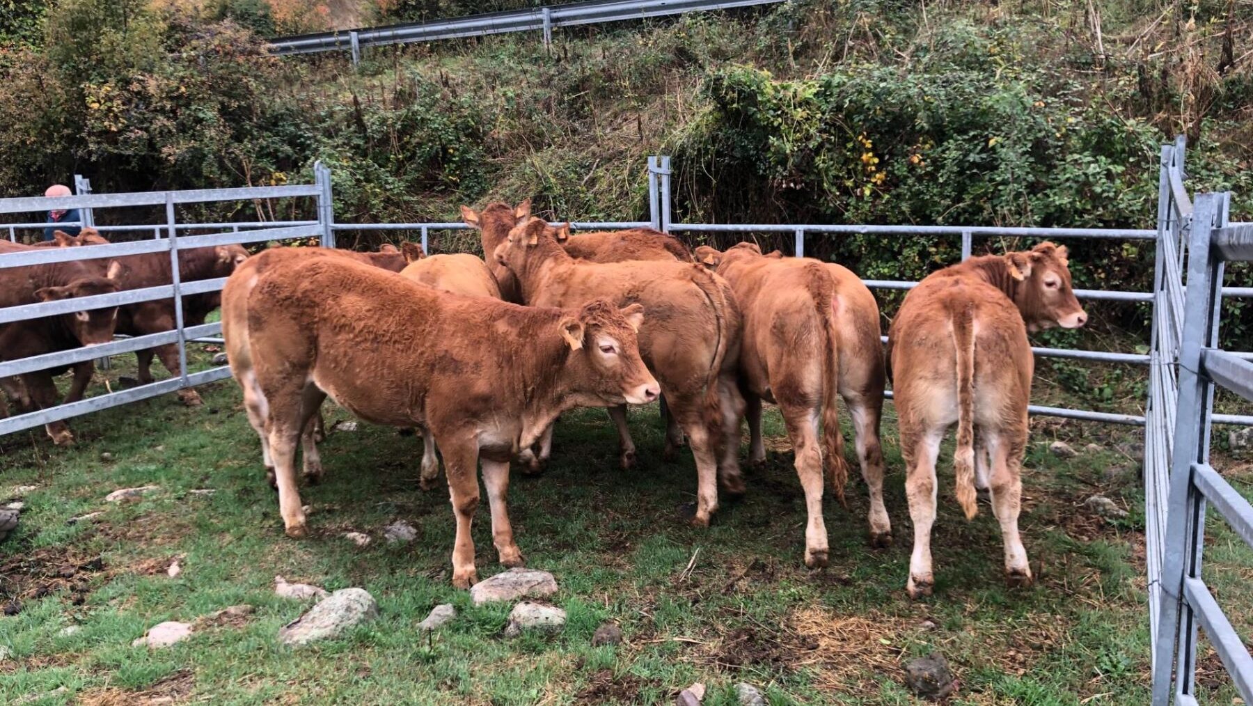 La Rioja cambio climático