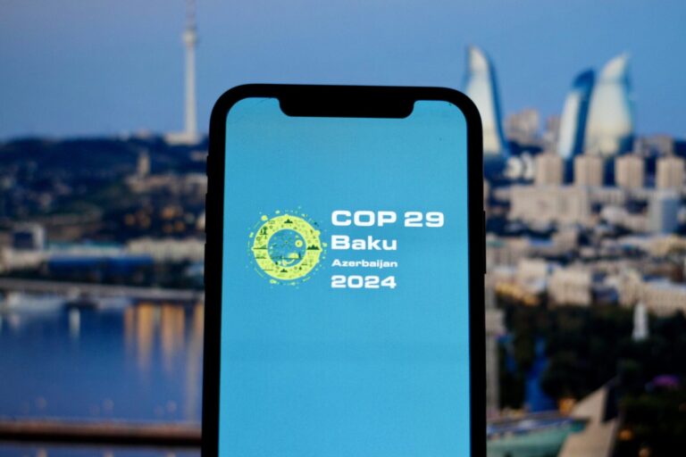 COP29 acción clima