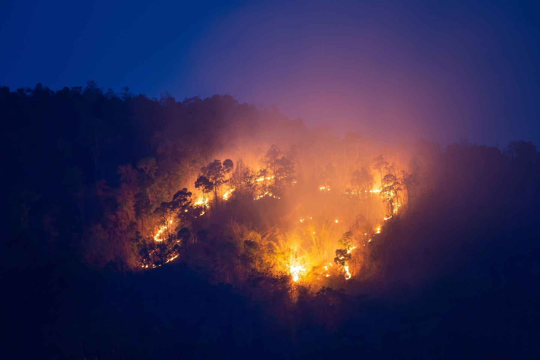 Andalucía incendios forestales montes públicos