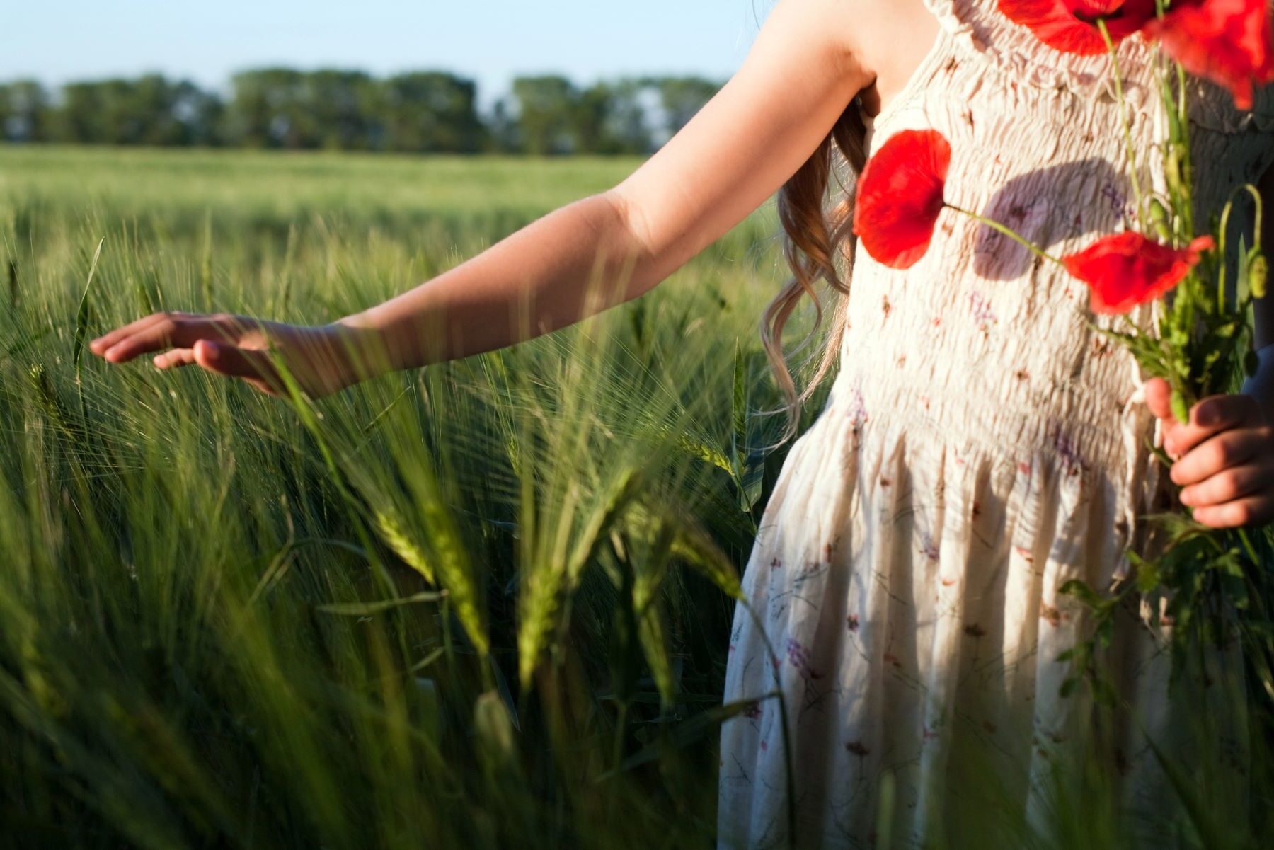 CCCB CREAF centros secundaria biodiversidad