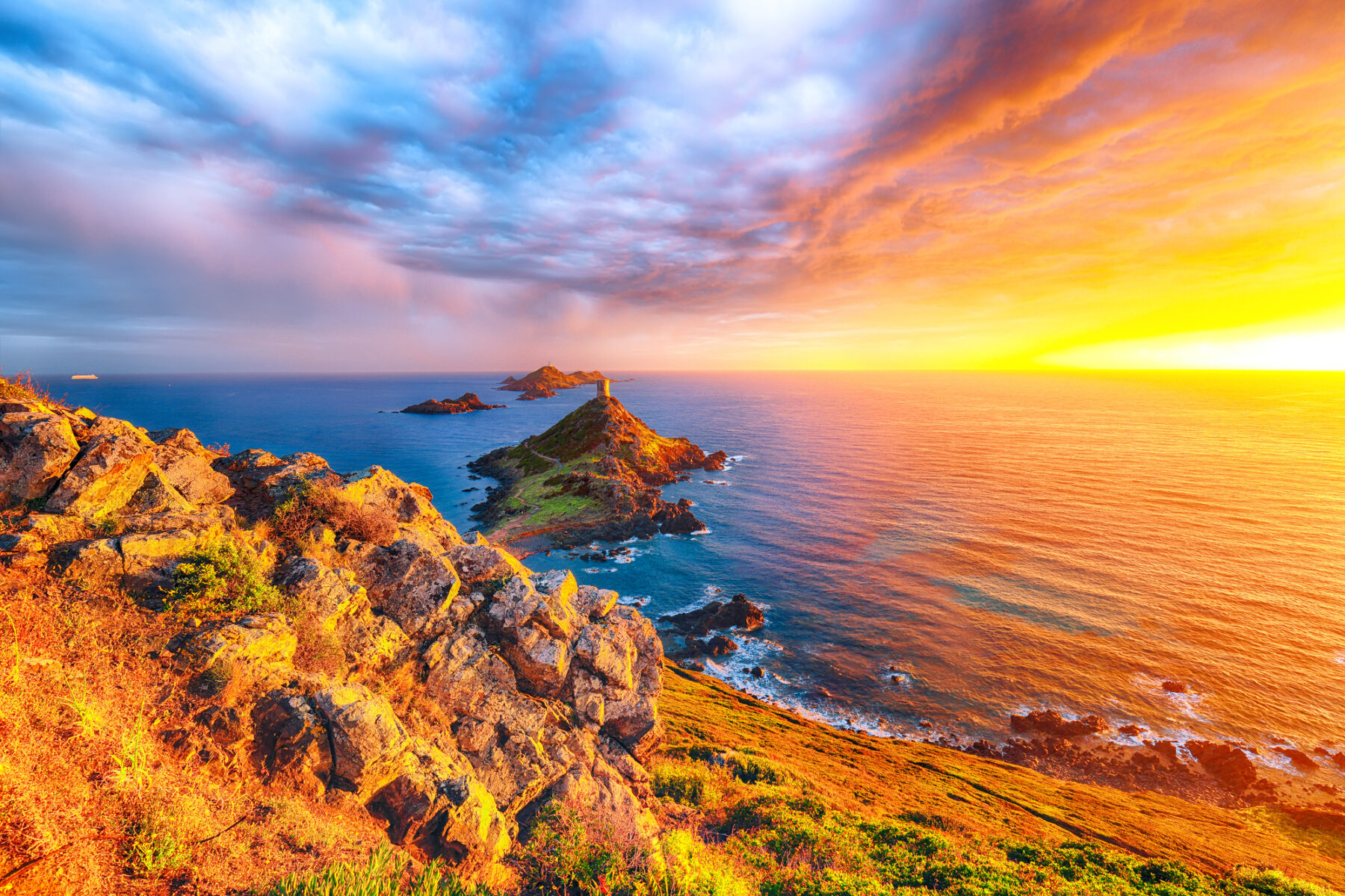 Cop16 proteger tierras mares planeta