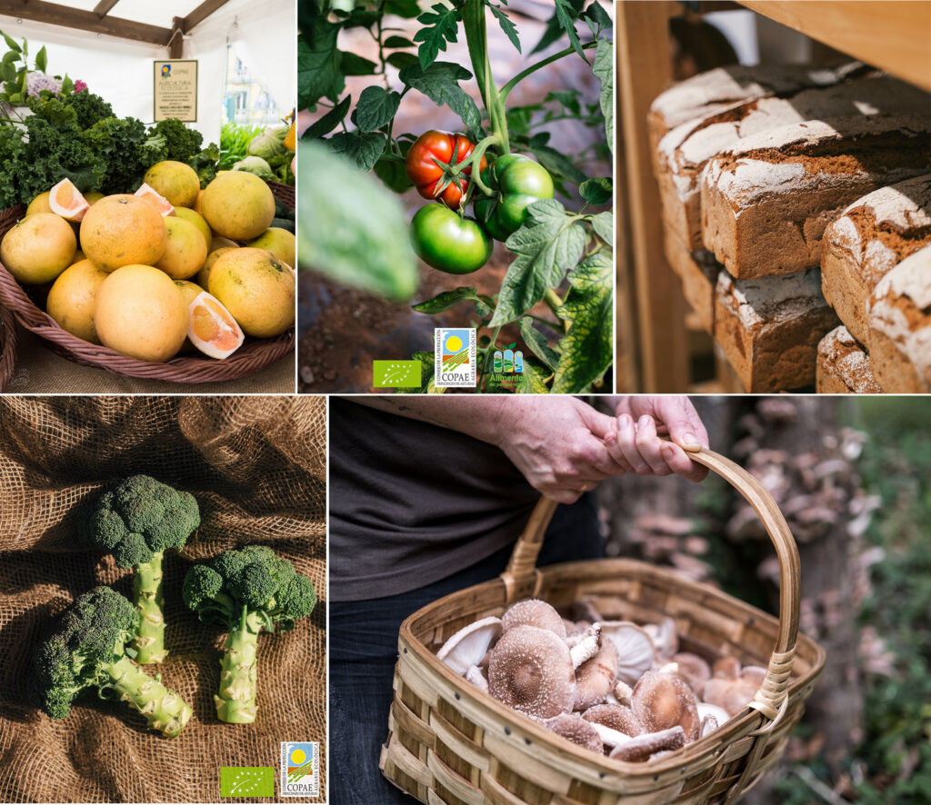COPAE alimentos ecológicos BioCultura