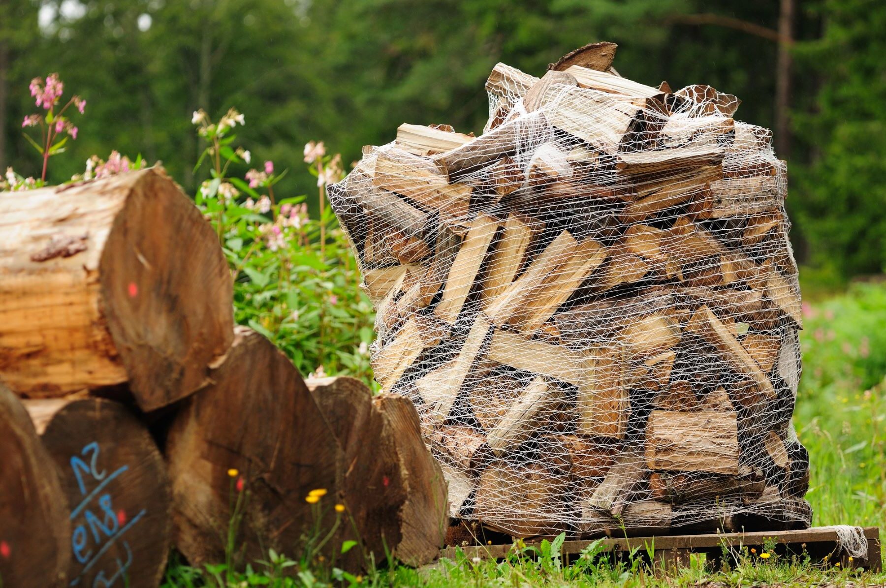 Castilla León biomasa forestal energía renovable autóctona
