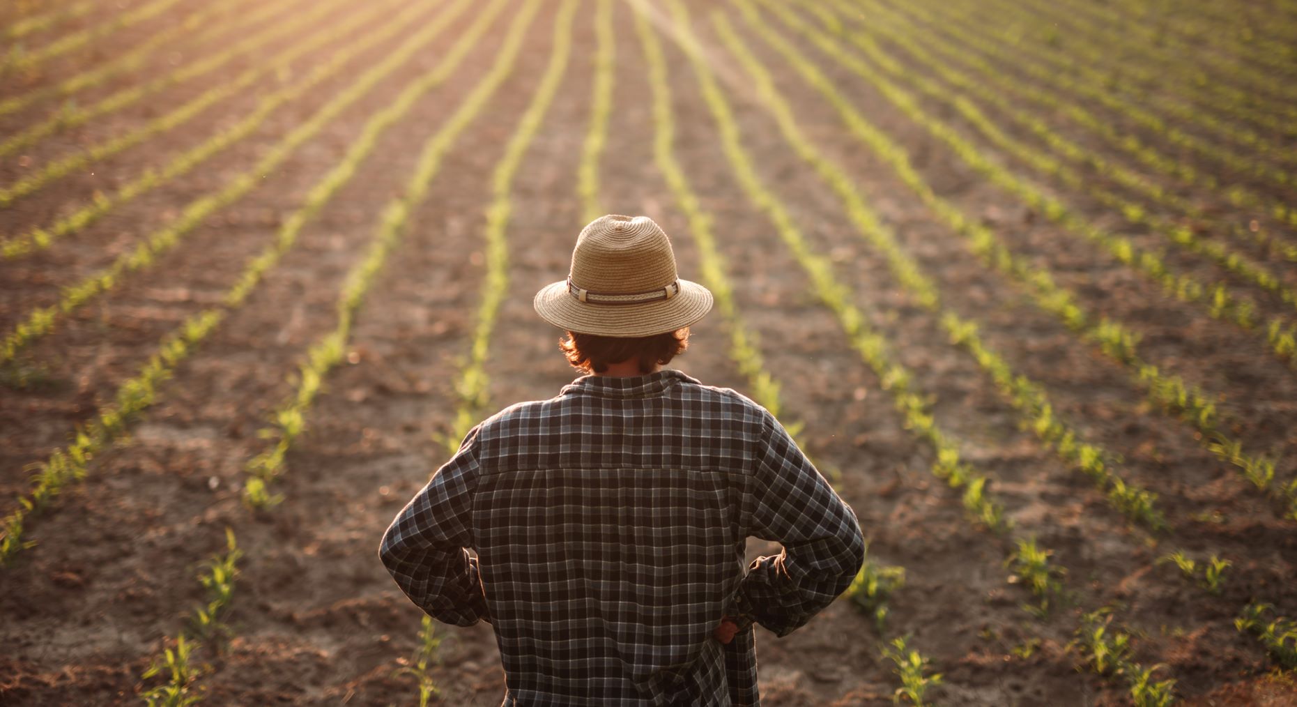 Castilla La Mancha agricultura baja carbono