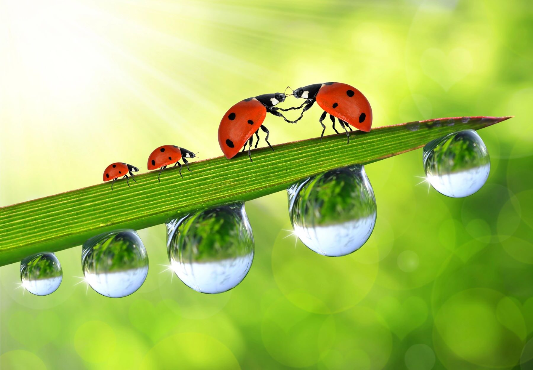 Conclusiones primera semana COP16