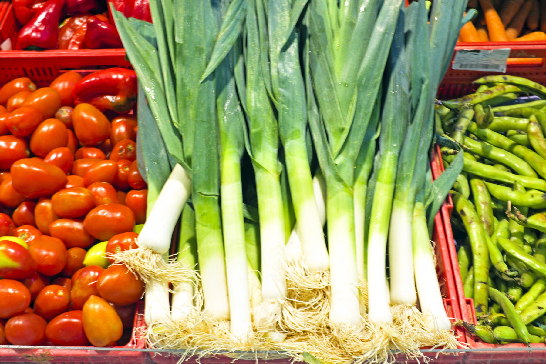 Consell Català Producció Agrària Ecològica Catalunya BioCultura Madrid 2024