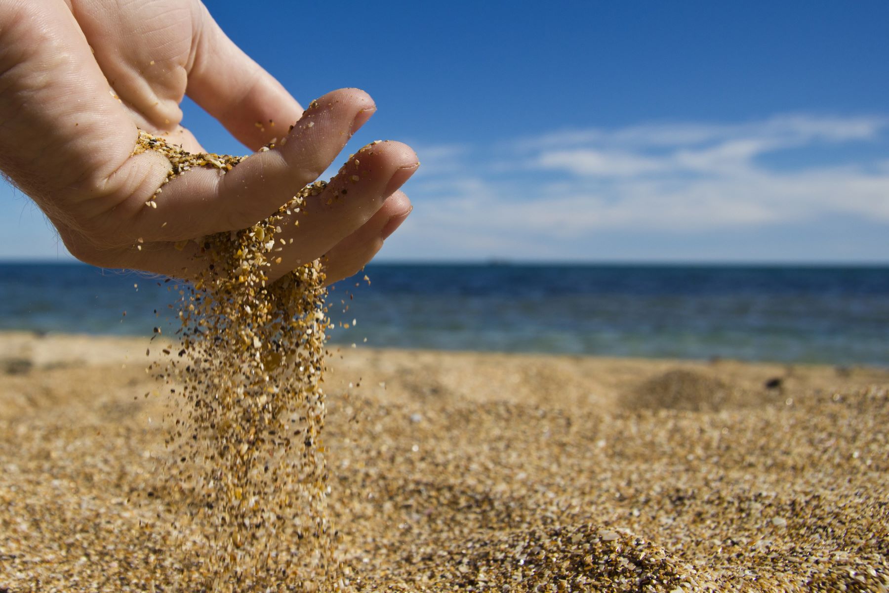 datos medio marino MITECO