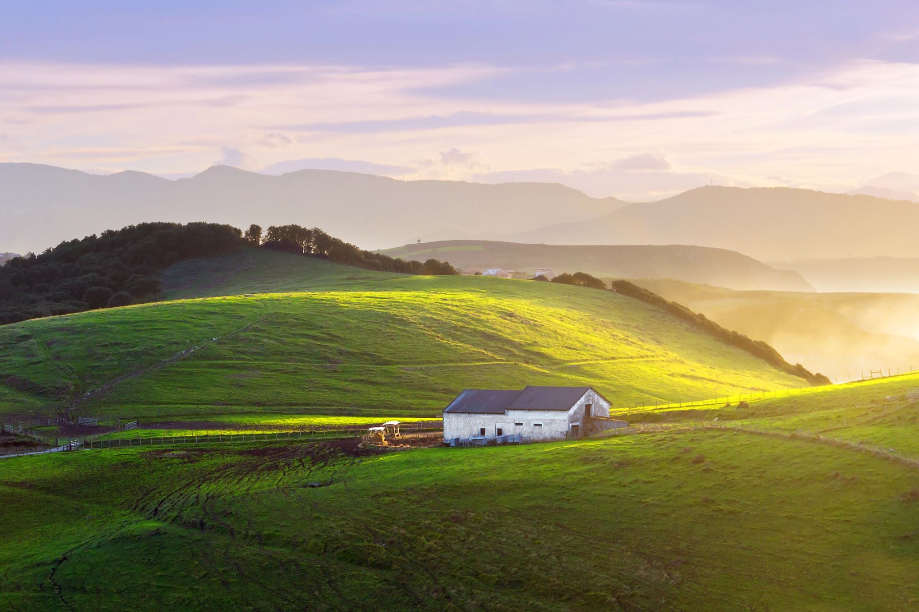 ENEEK/Ekolurra productos ecológicos Euskadi BioCultura Madrid 2024