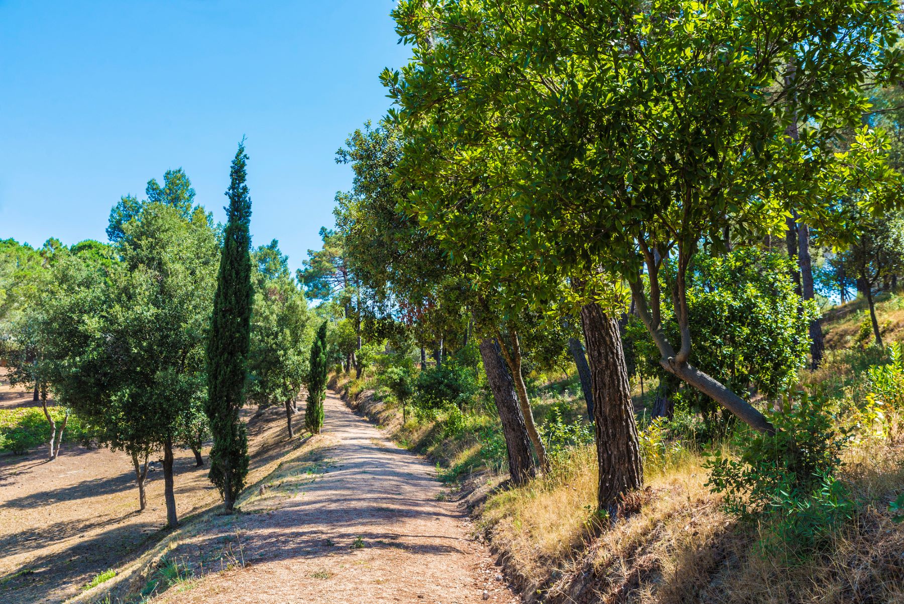 Ecoturistas AlertaForestal