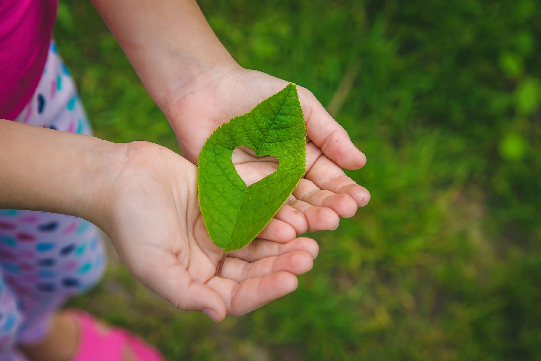 CIMA medio ambiente Cantabria