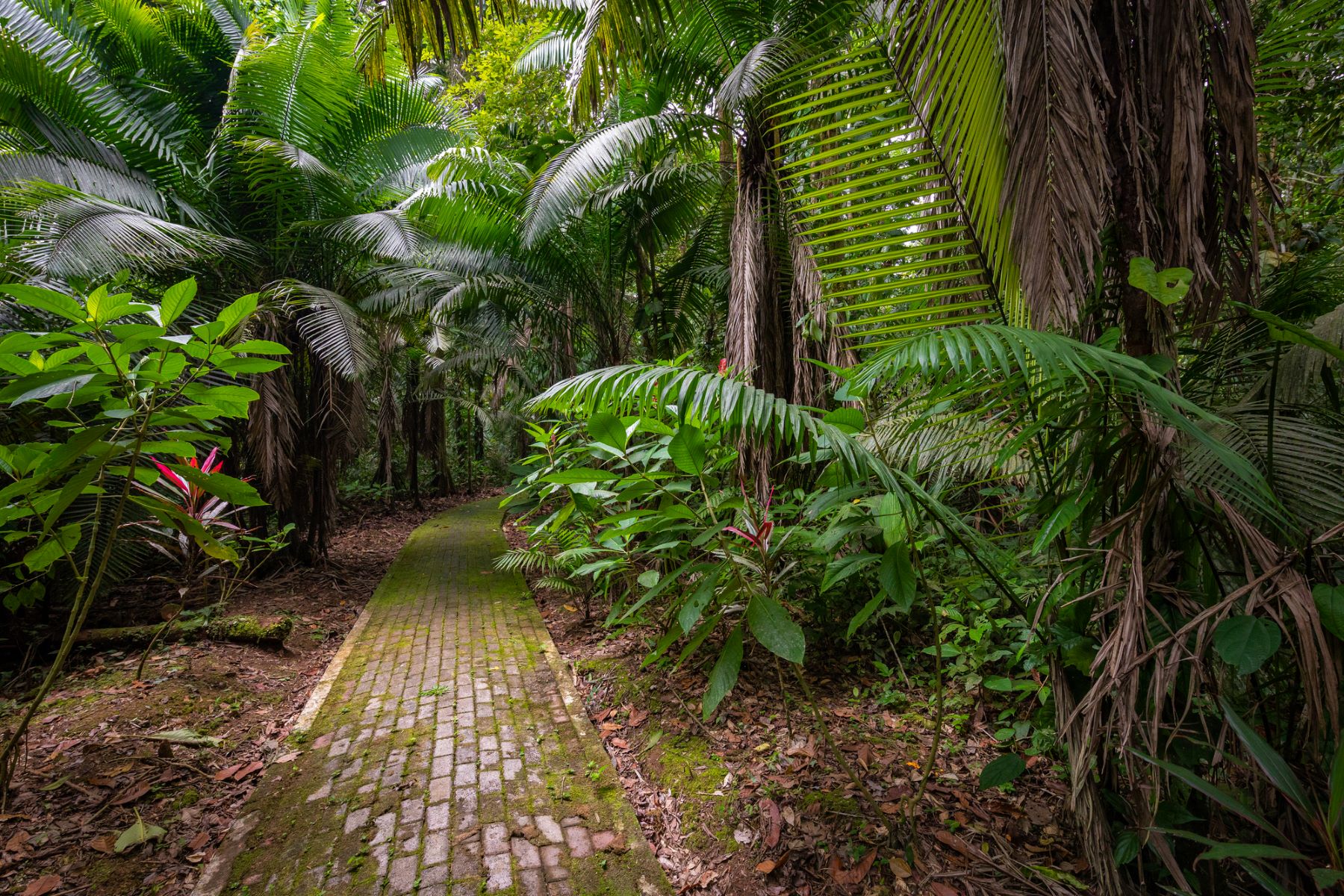 documental extracción petrolera parque Yasuní