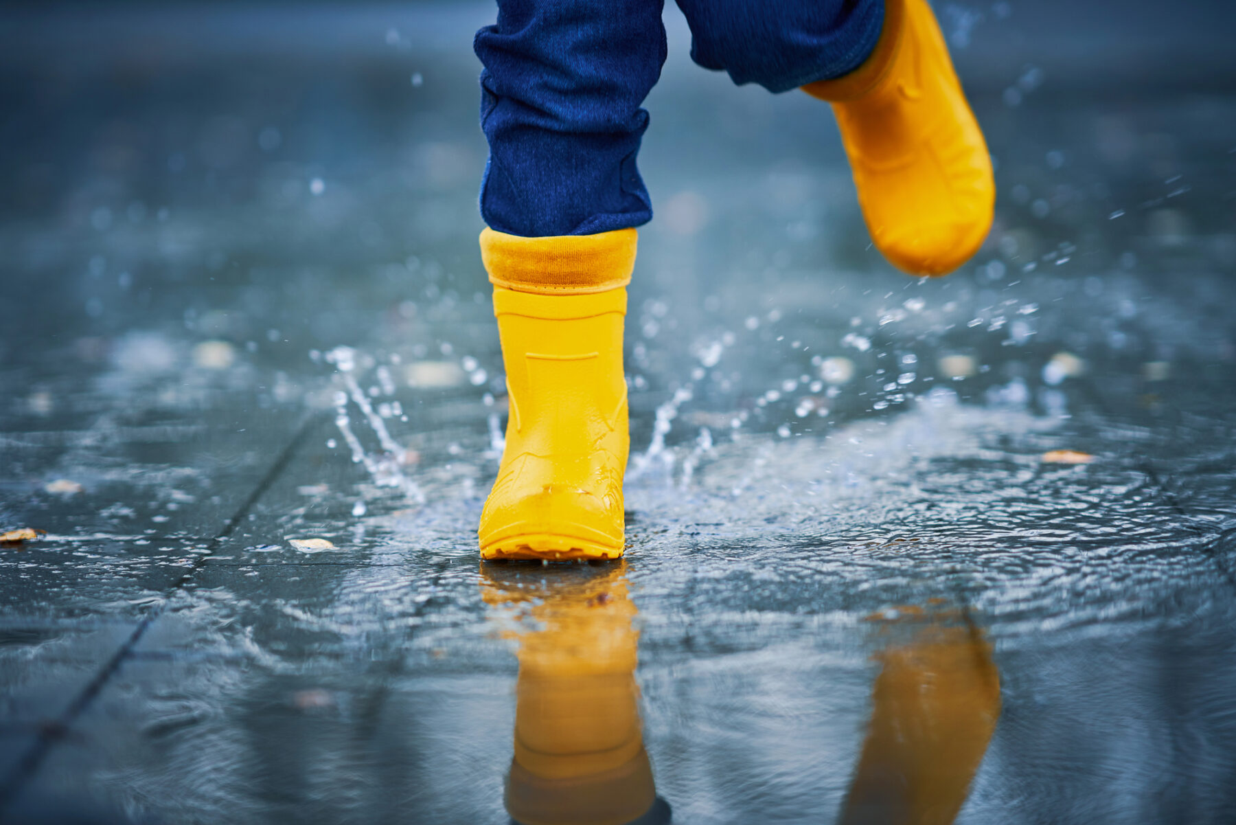 tiempo 29 octubre 2024 DANA precipitaciones Mediterráneo