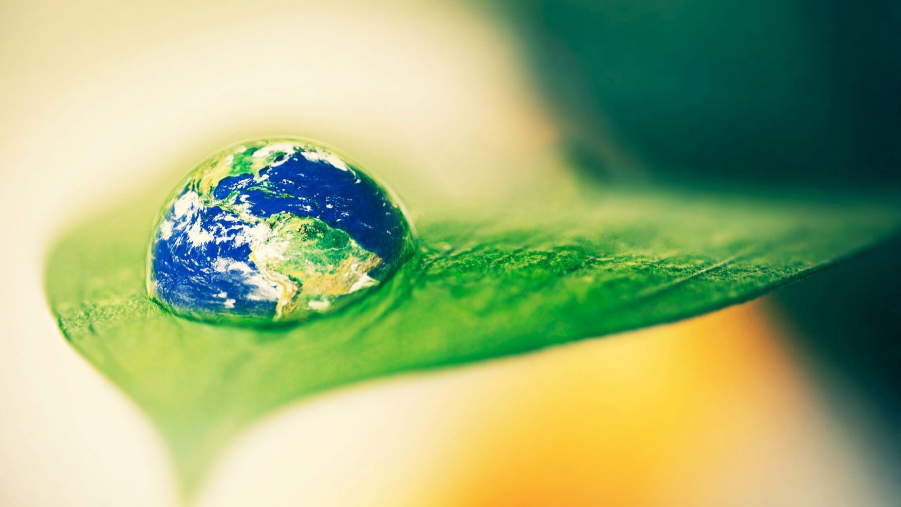 WWF Conferencia Naciones Unidas Biodiversidad COP16