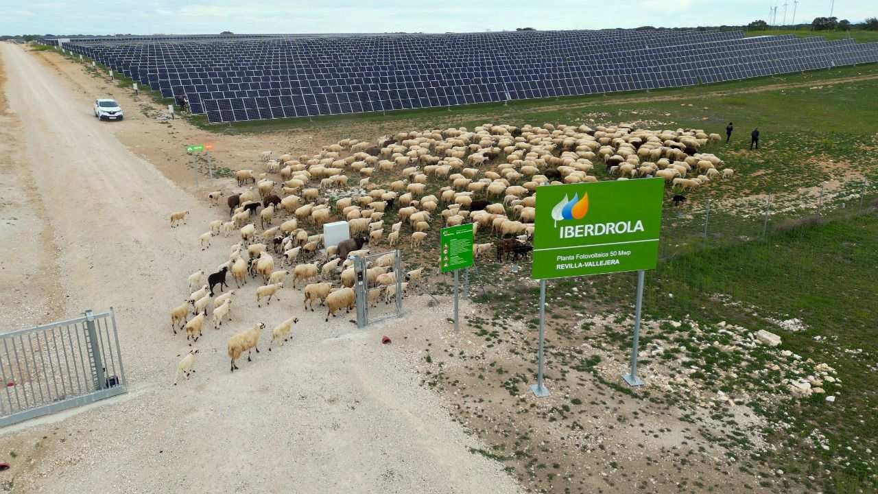 planta fotovoltaica Iberdrola Revilla Vallejera