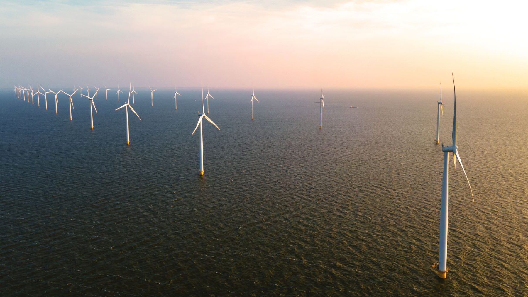 Galicia eólica offshore