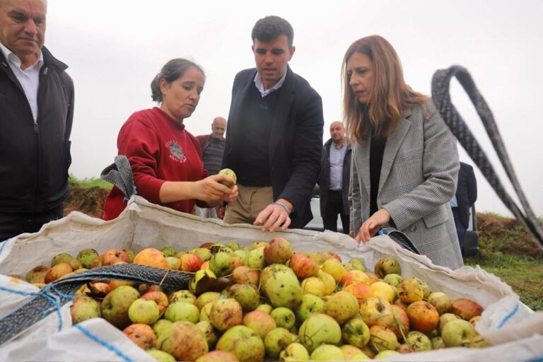 Galicia manzana sidra ecológica