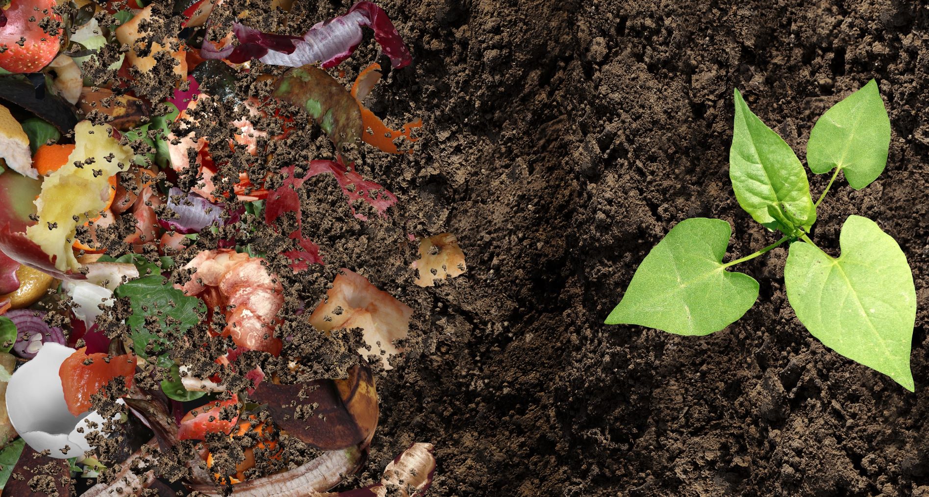 gestión biorresiduos Sogama