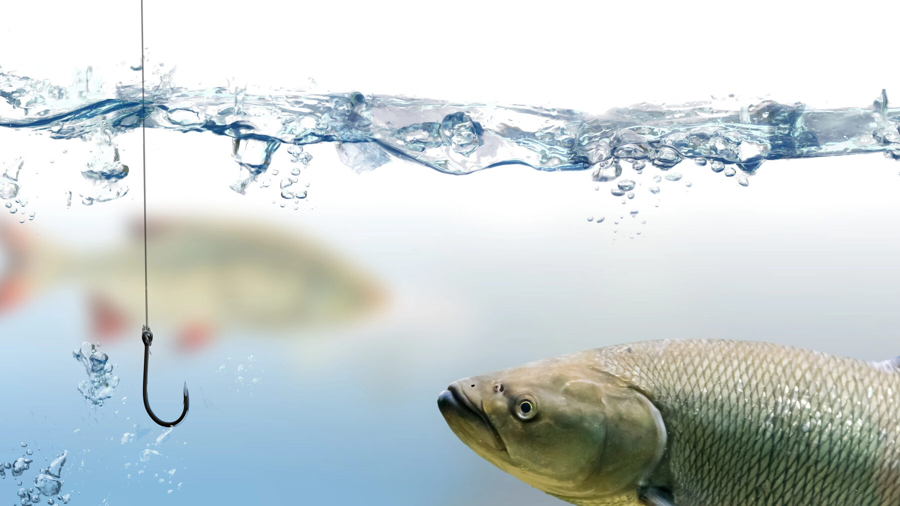 Certificacion sostenibilidad pesquera chile