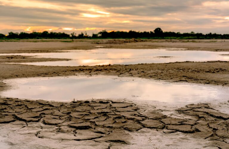 financiación climática COP29