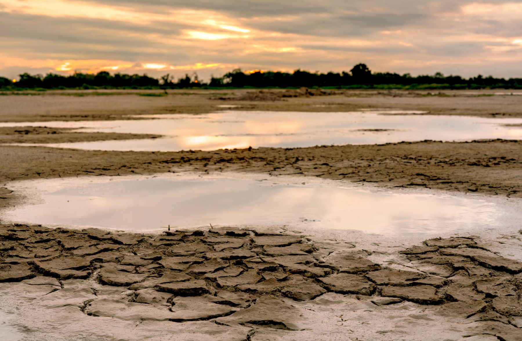 financiación climática COP29