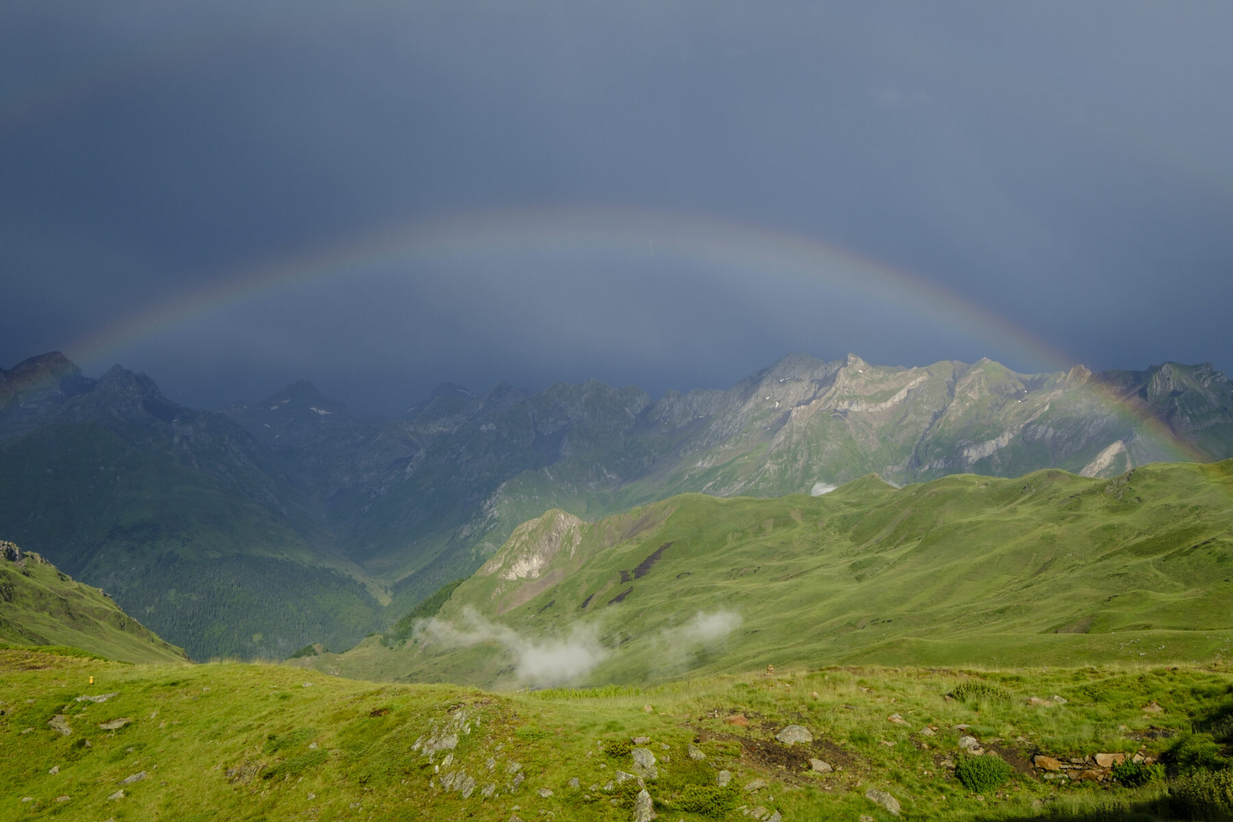 red mundial áreas protegidas 2030