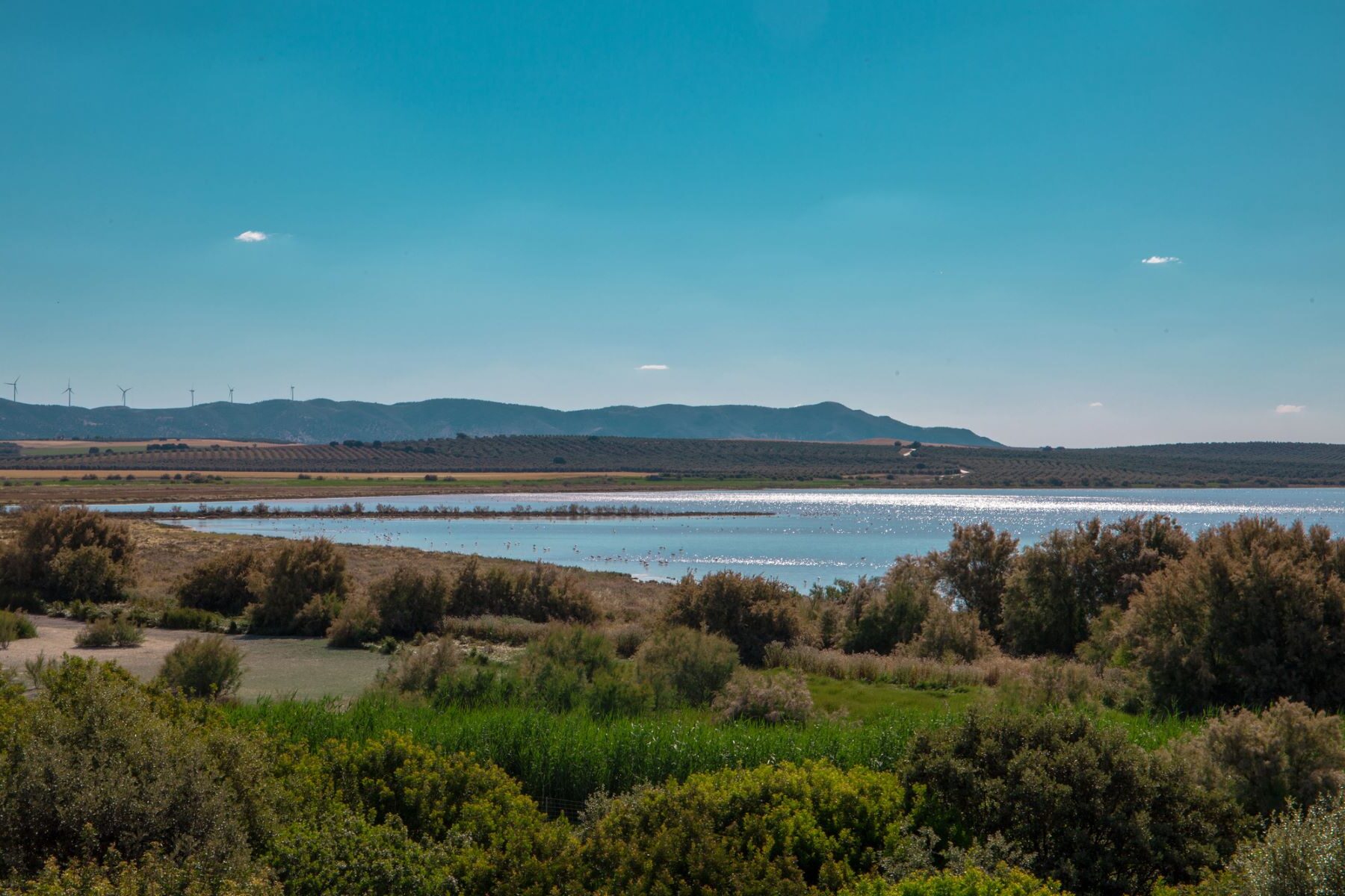 Lagunas Sur Córdoba conservación