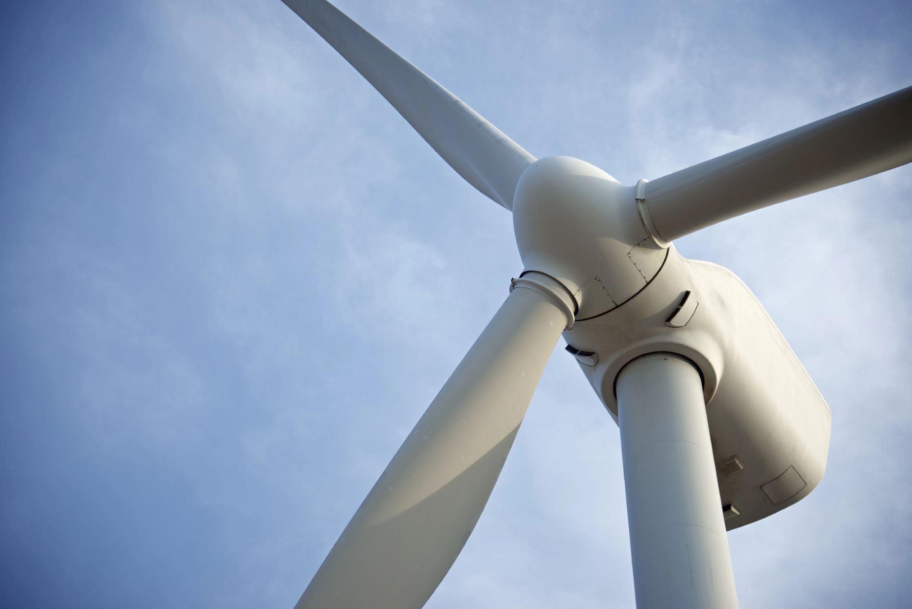 aspas aerogeneradores deforestación Latinoamérica