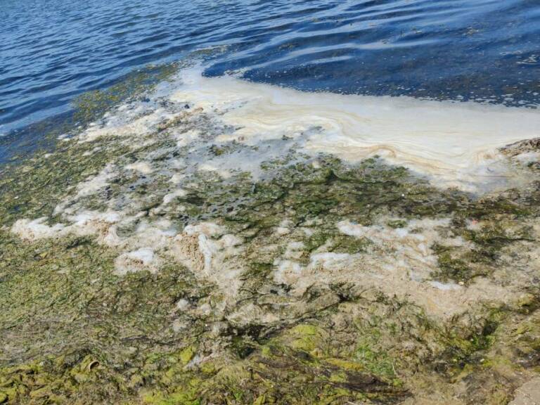Ayuntamientos cuenca Mar Menor redes saneamiento