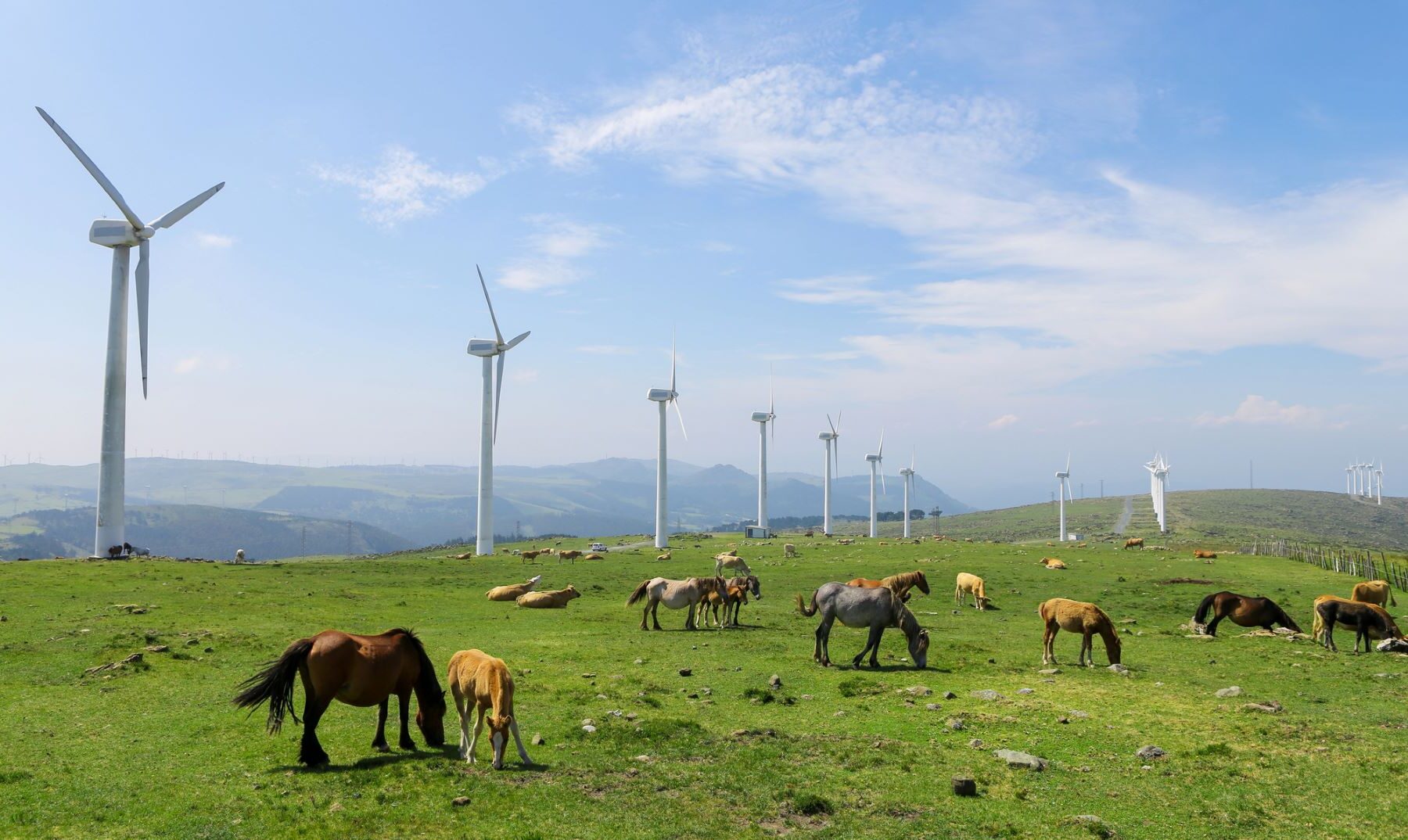 parque eólico As Somozas