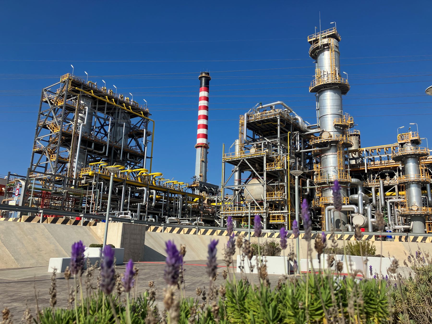 NextLab-R Low Carbon huella carbono negativa