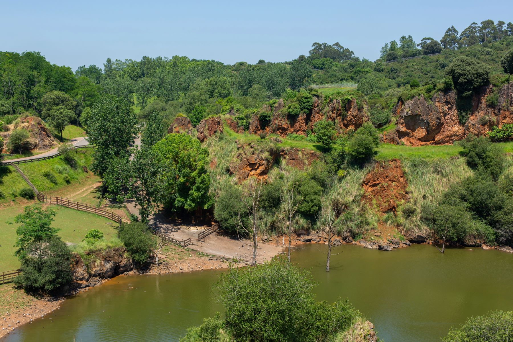 Parque Naturaleza Cabárceno director
