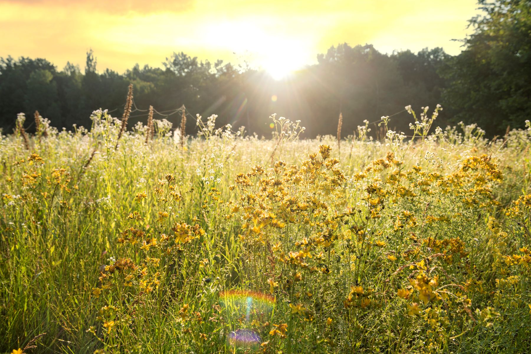 Proyecto BeonNAT productos sostenibles
