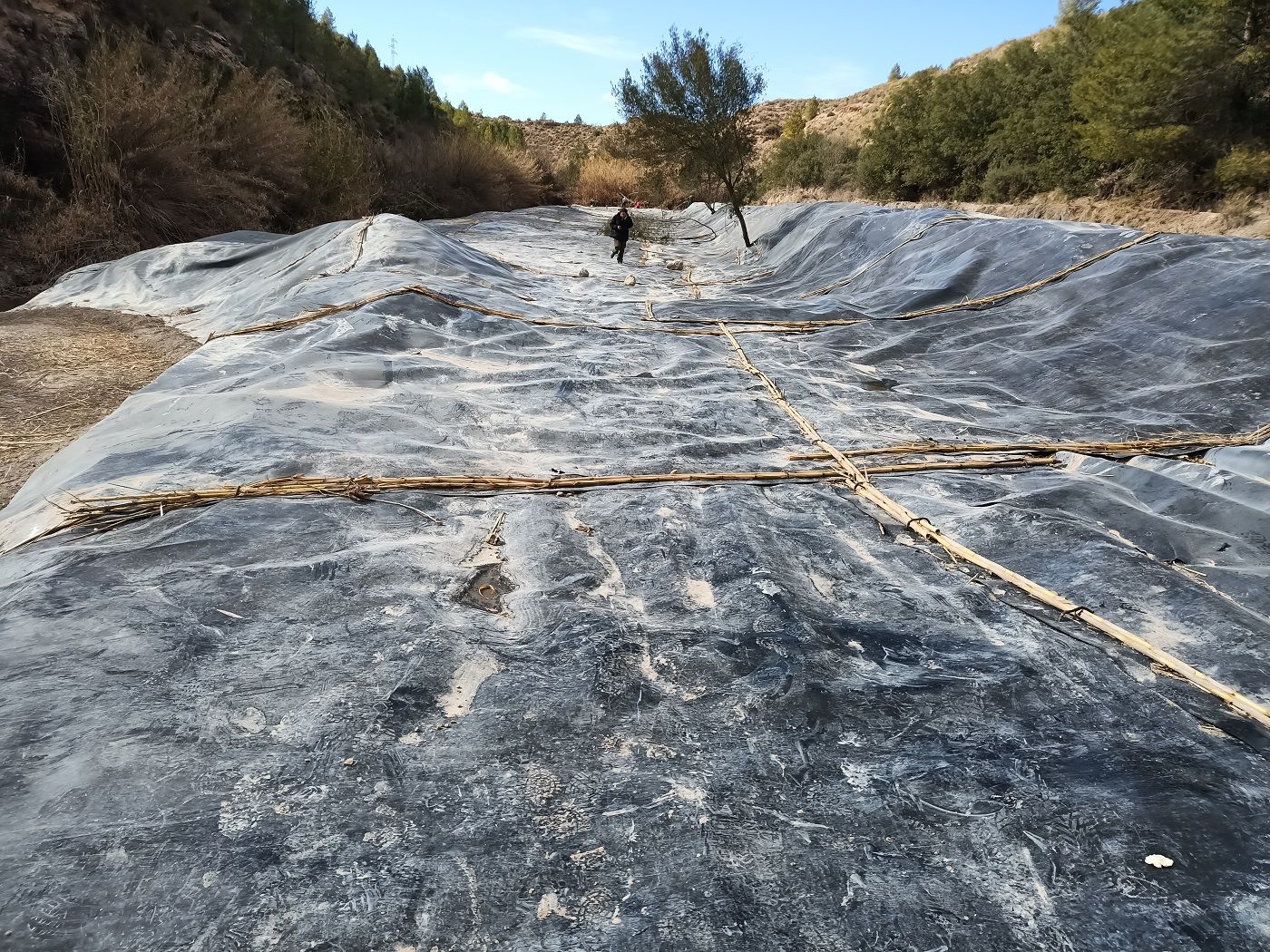 FLUVIATILIS ANSE CHS