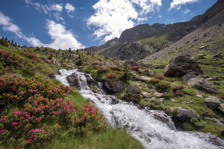 Pirineo cambio climático