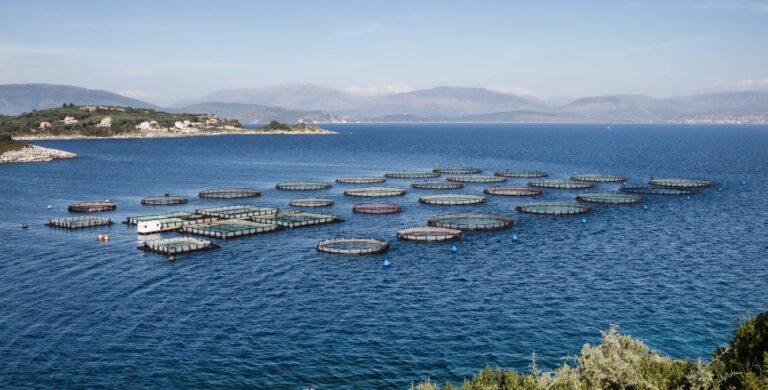 Salmón cultivo comunidades costeras vulnerables