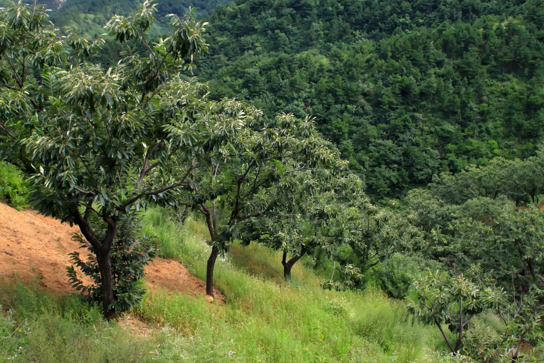 octava reserva biosfera Galicia