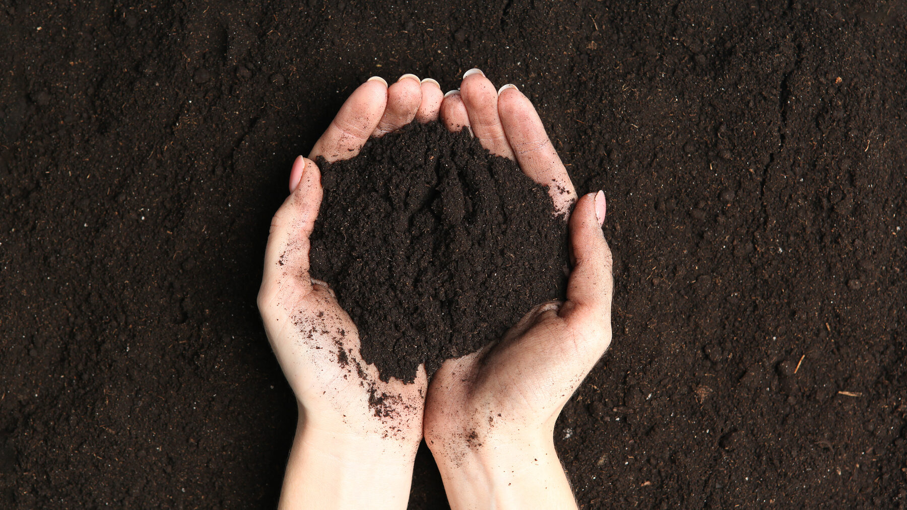 Serida residuos orgánicos alimentos salud suelo